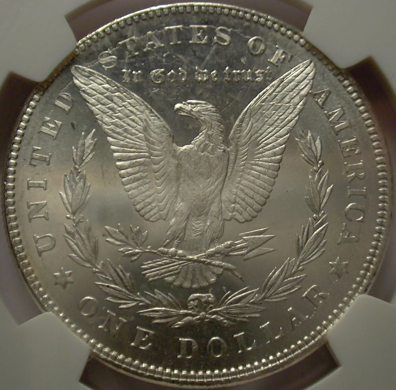 The-28-Days-Of-Morgan-Dollars!-Act-II