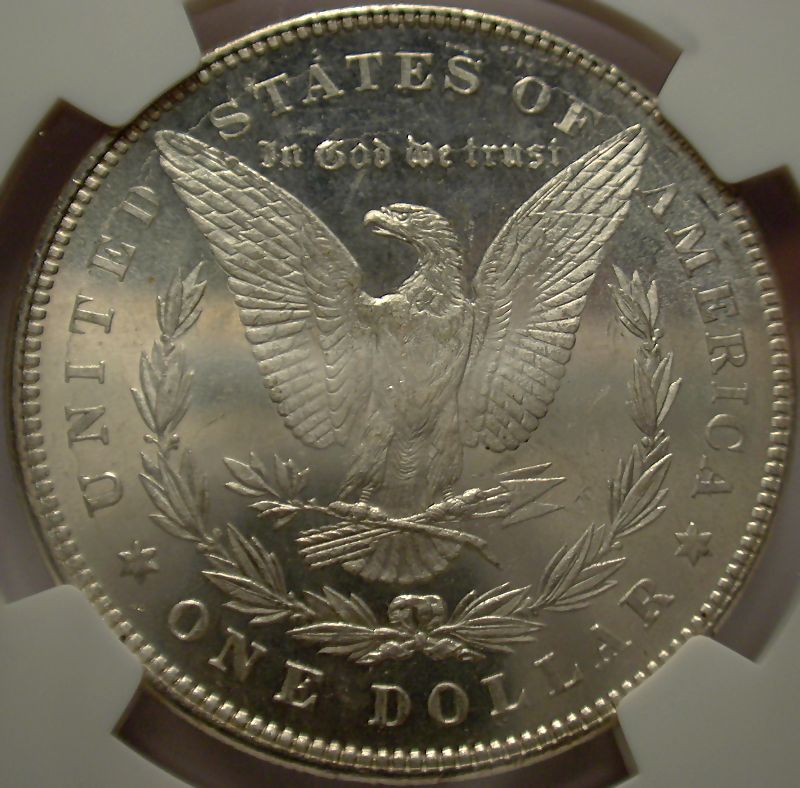 The-28-Days-Of-Morgan-Dollars!-Act-II