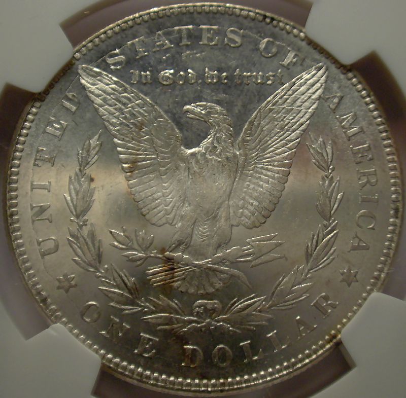 The-28-Days-Of-Morgan-Dollars!-Act-II