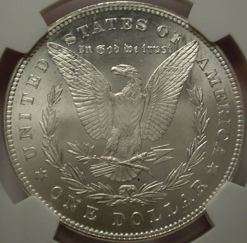 The-28-Days-Of-Morgan-Dollars!-Act-II