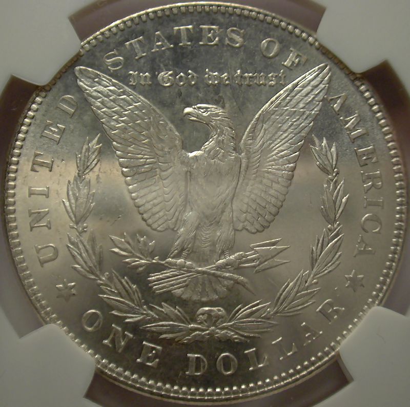 The-28-Days-Of-Morgan-Dollars!-Act-II
