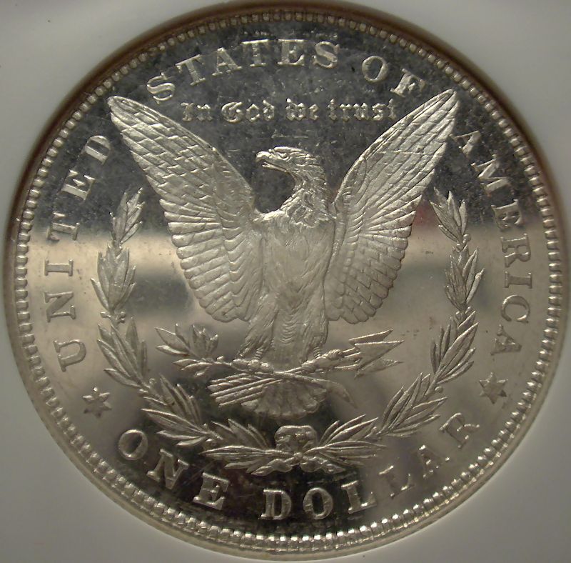 The-28-Days-Of-Morgan-Dollars!-Act-II
