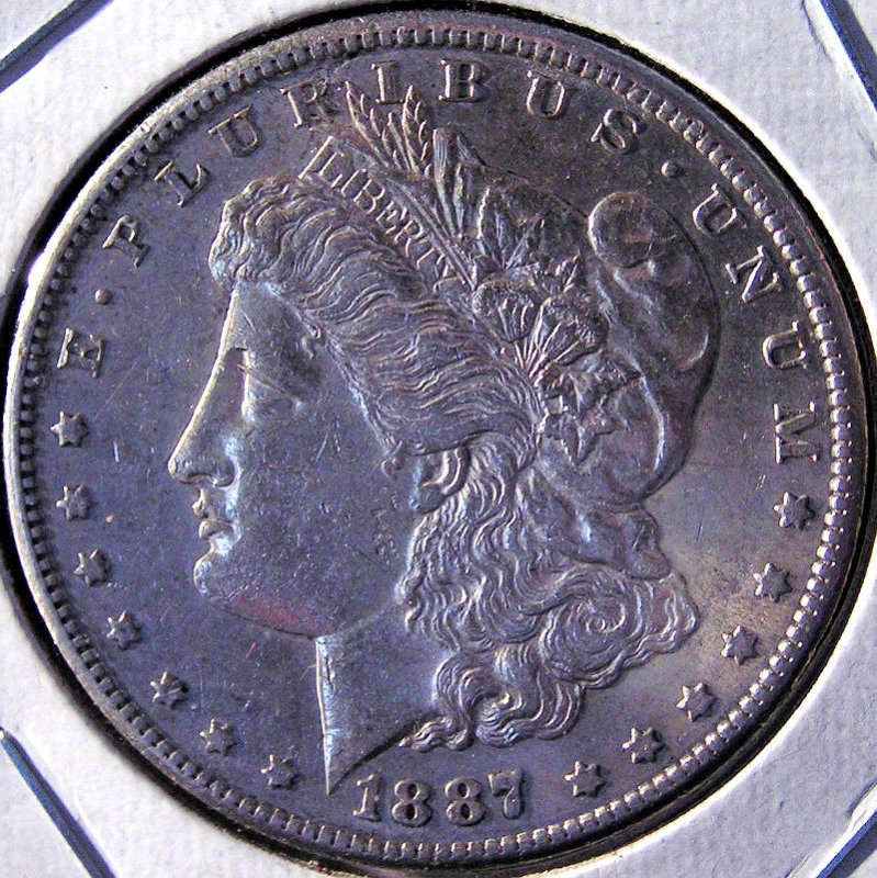 My-First-Morgan