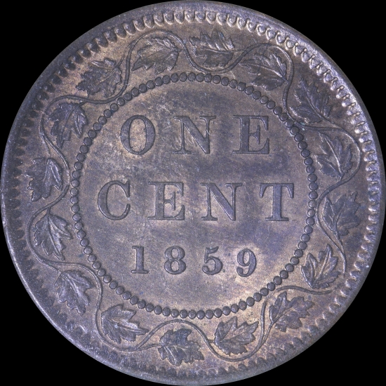 1859-Large-Cent-Variety;-Need-Help-Identifying