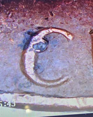 Possible-1983-D-Cent-Error