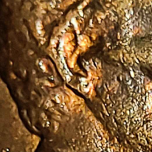 1984-Double-Ear-Lincoln-Cent?