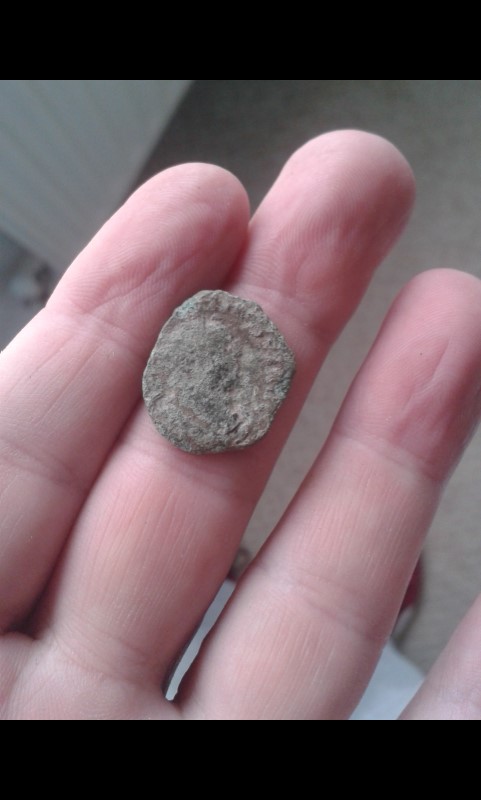 Carausius-Ant-With-Bri-Mintmark,