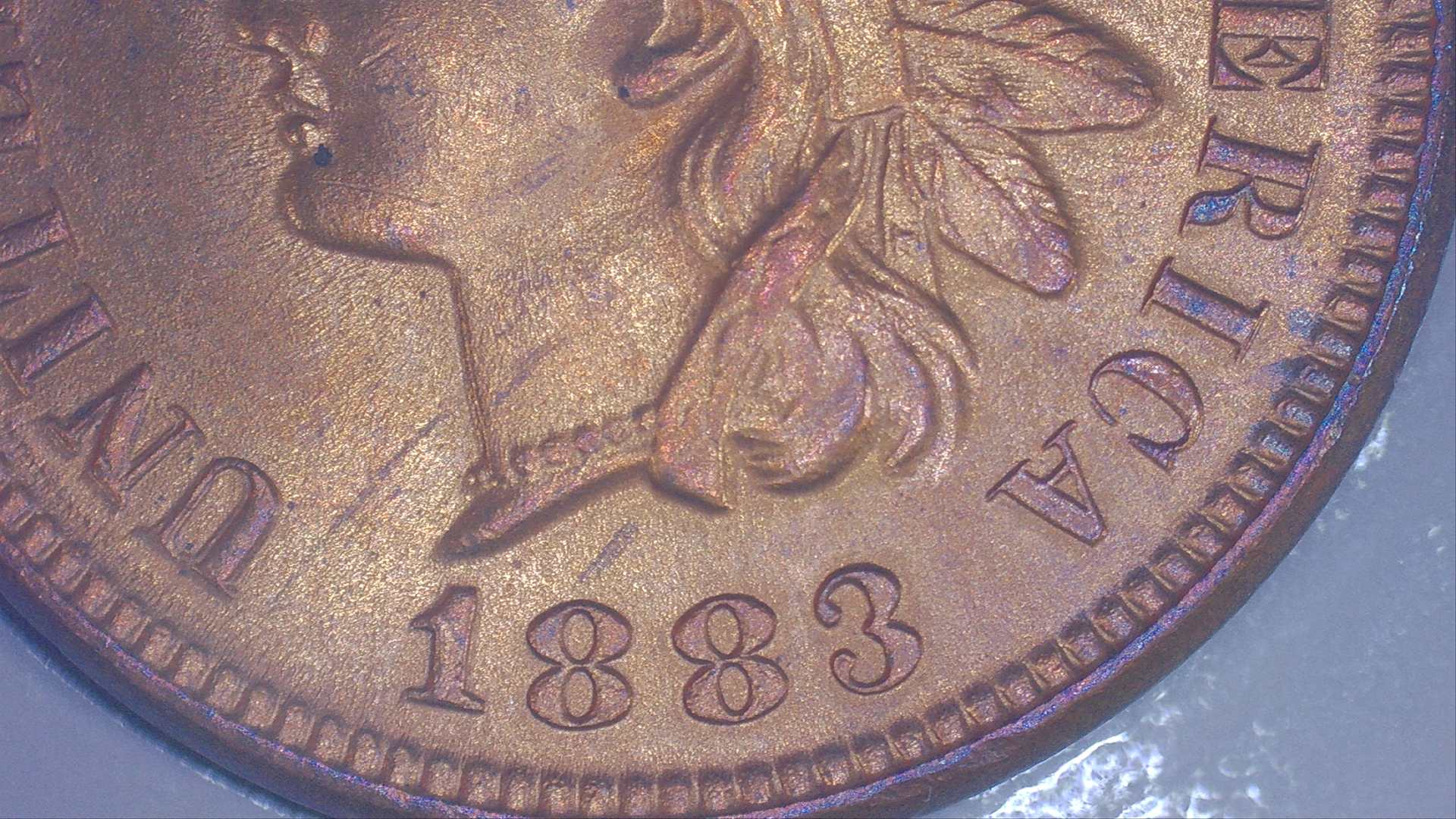 1883-Indian-Head-Cent-For-Grading