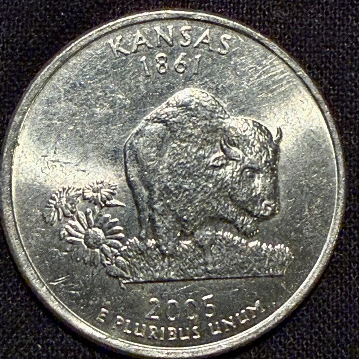 2005-P-Kansas-Quarter-Errors
