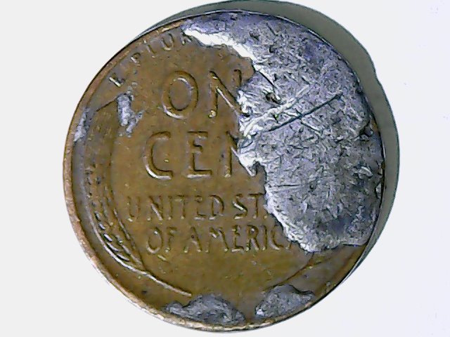 Is-This-A-Error-Coin?-19xx-Wheat-Cent