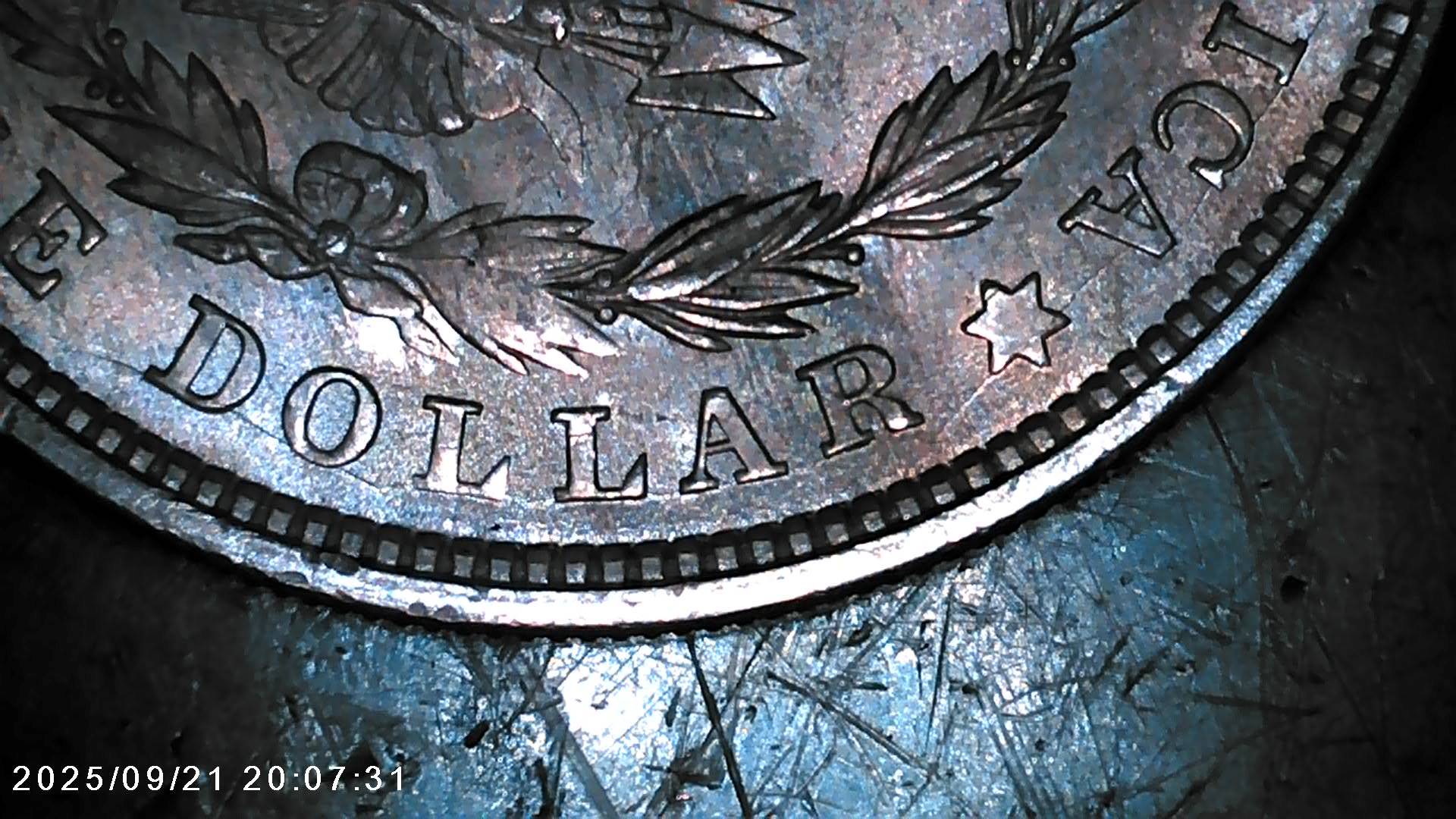 1921-P-Morgan-Dollar-VAM-1Bj