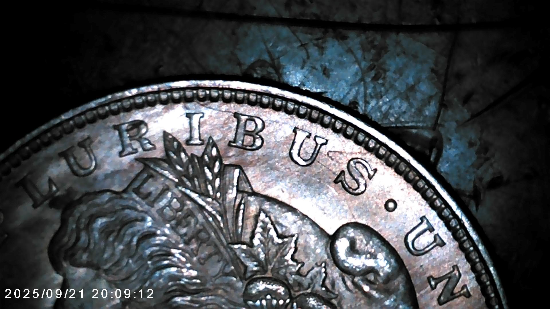 1921-P-Morgan-Dollar-VAM-1Bj