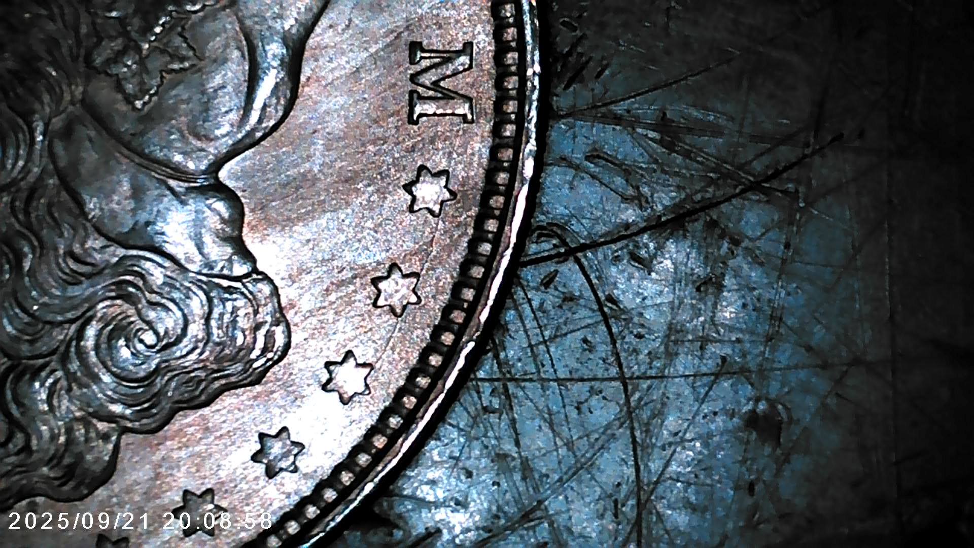 1921-P-Morgan-Dollar-VAM-1Bj