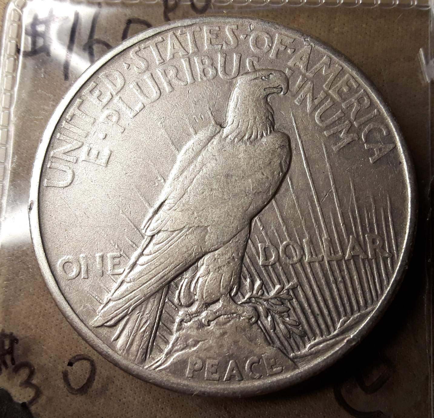 Raw-1921-Peace-Dollar