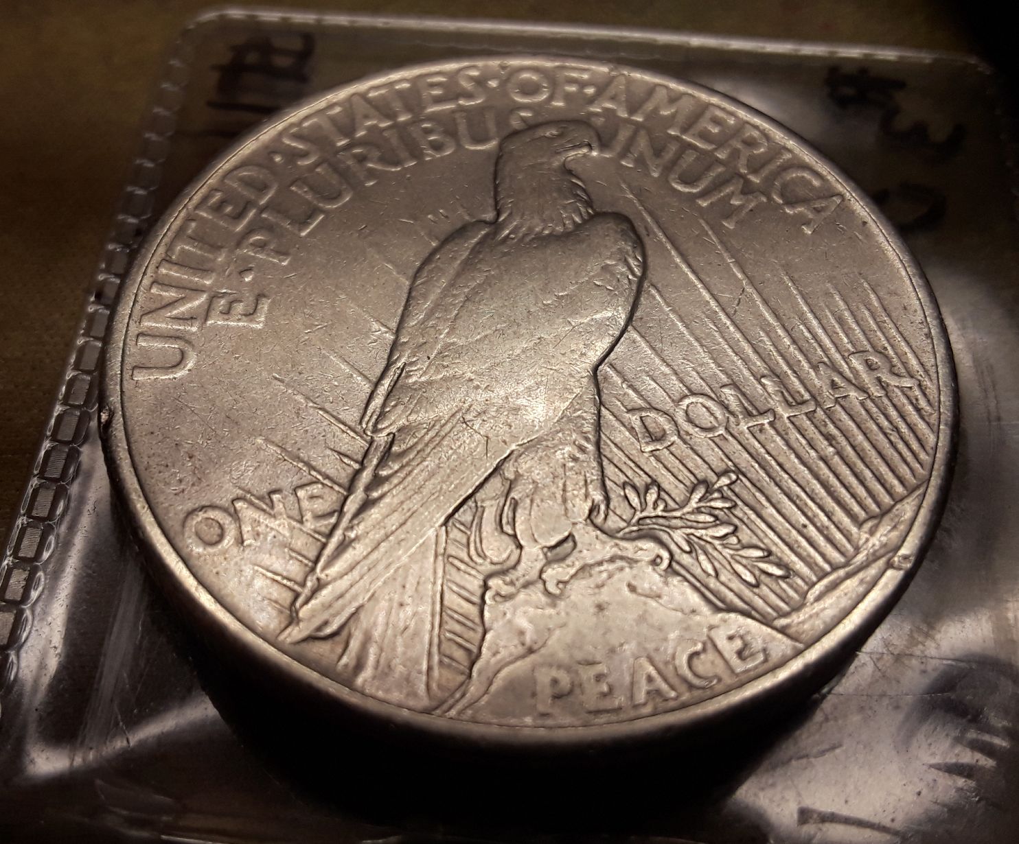 Raw-1921-Peace-Dollar