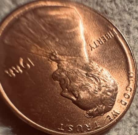 1988-Lincoln-Penny-Error-Not-Sure-What-This-Is-Called