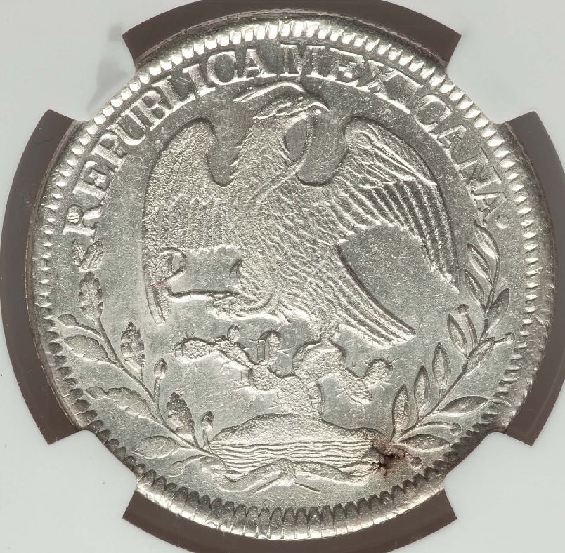 8-Reales-Posted--Looking-For-Observations-&-Comments