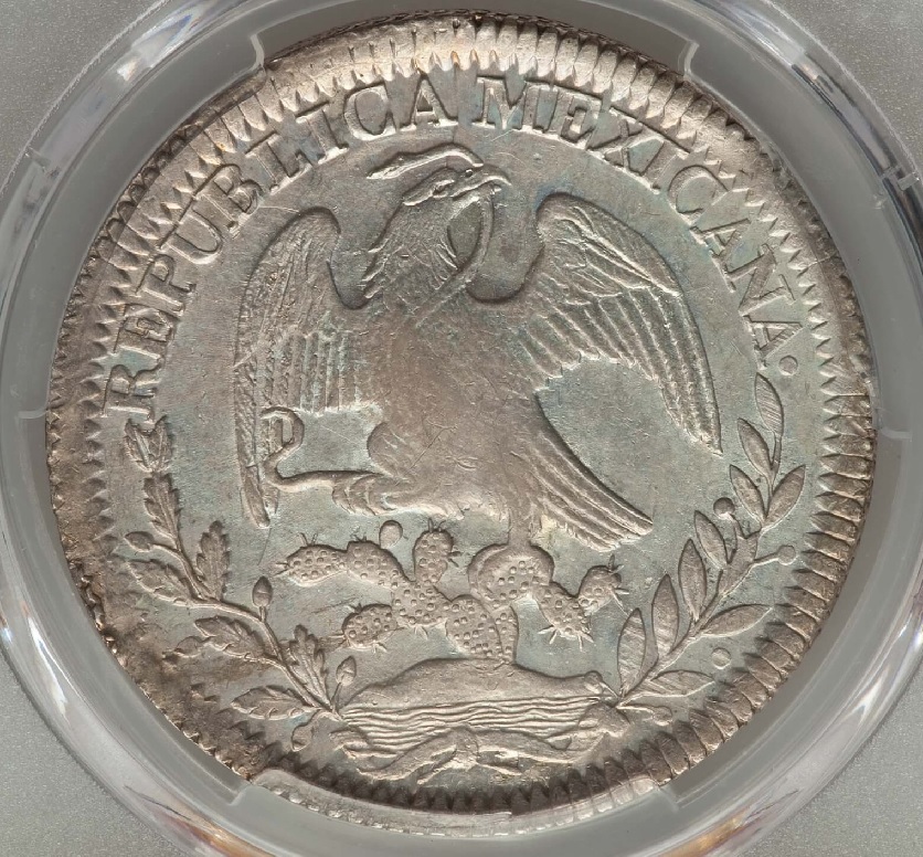 8-Reales-Posted--Looking-For-Observations-&-Comments