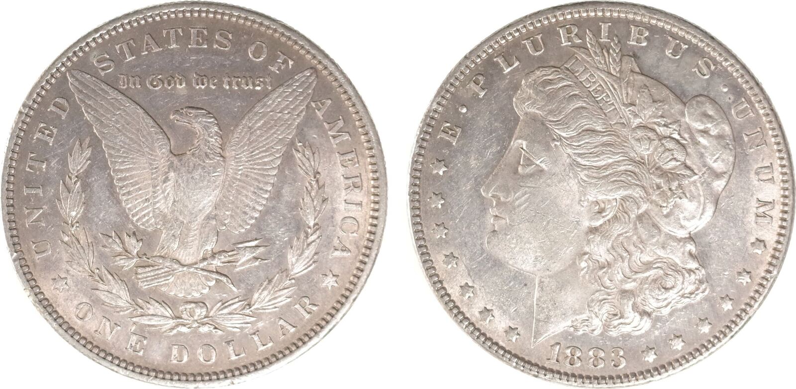 Morgan-Dollar-Questions