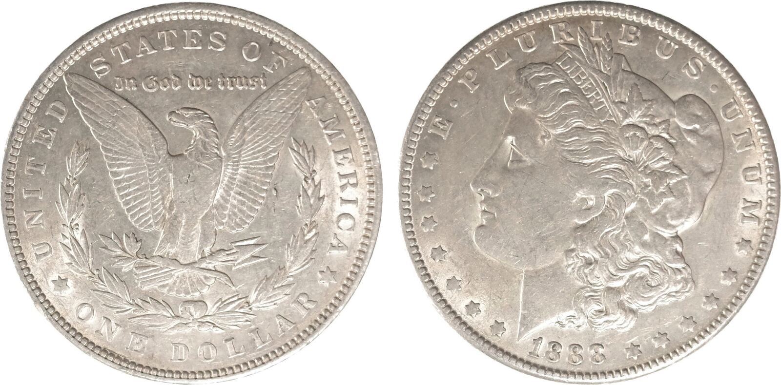 Morgan-Dollar-Questions