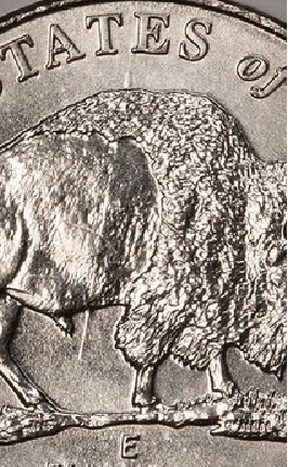 2005-Bison...please-Tell-Me-That-Are-The-Right-One