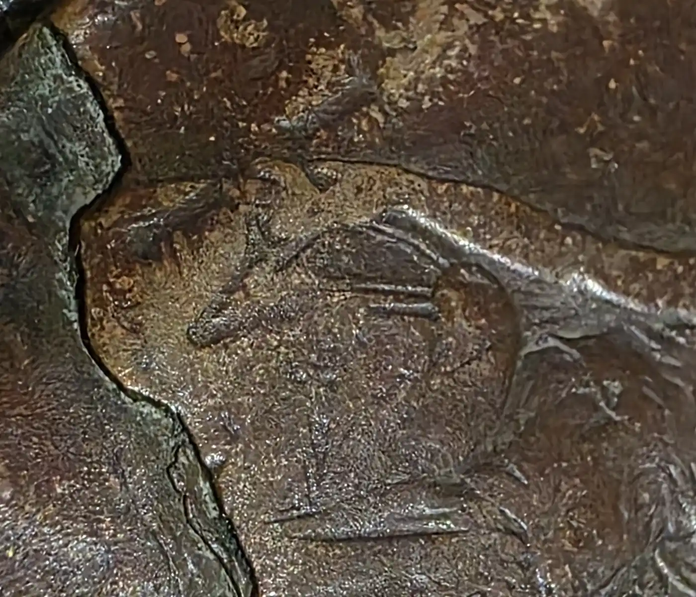 1920-UK-Penny-Lamination-Error-Coin-Value