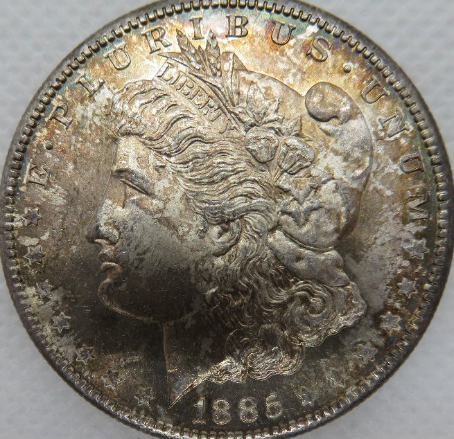 Help-Grading-This-Morgan-1885-S