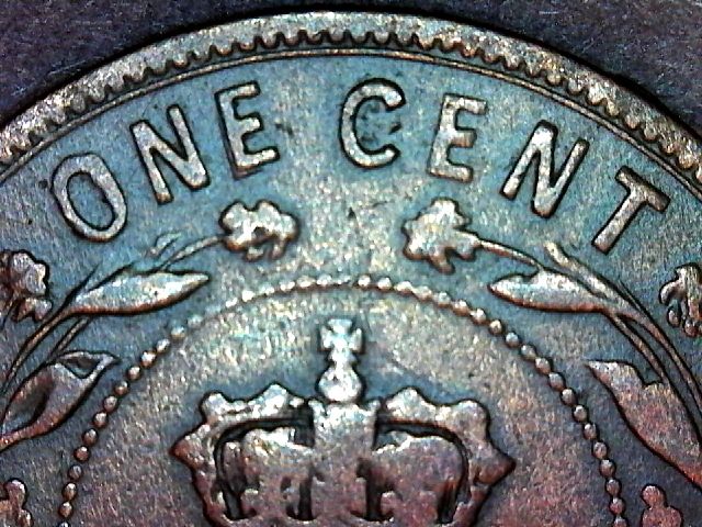 Why-You-Should-Collect-Newfoundland-Coins.
