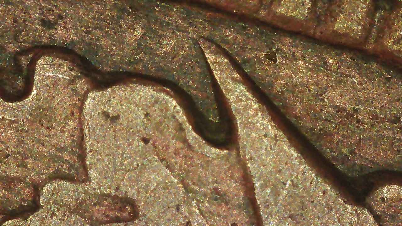 1906-Indian-Head-Penny-With-Potential-DDO-/-DDR?