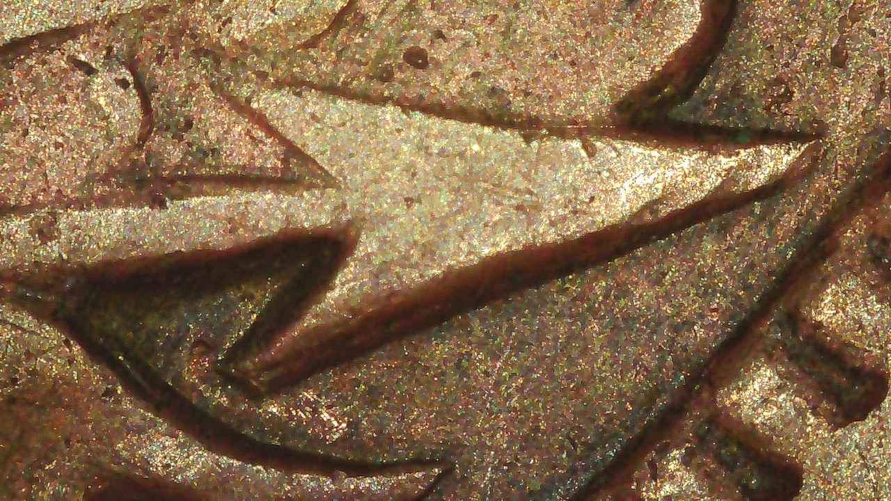 1906-Indian-Head-Penny-With-Potential-DDO-/-DDR?