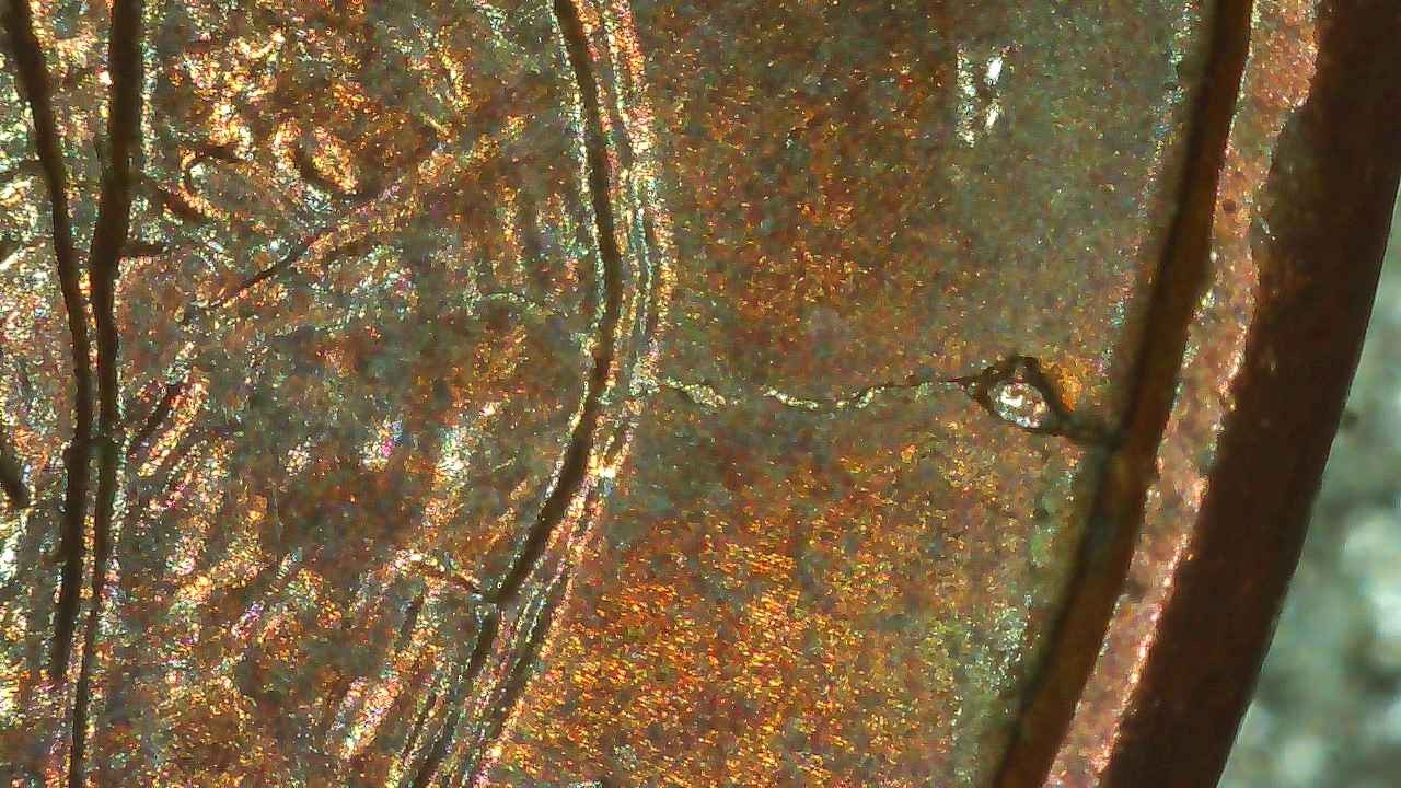 2009-Penny-With-