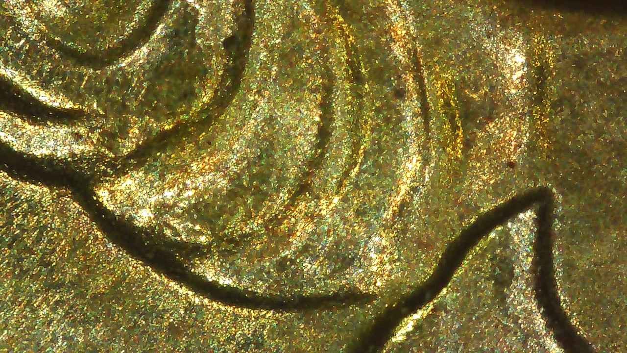 2008-P-Monroe-Presidential-Dollar-With-Strike-Through
