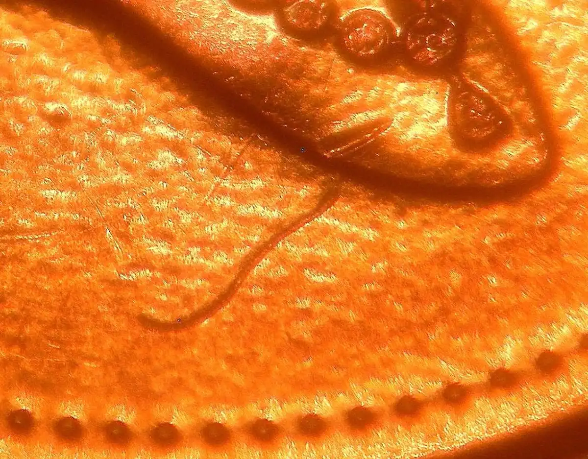 1999-Cent---Struck-Thru-Grease-And-Wire