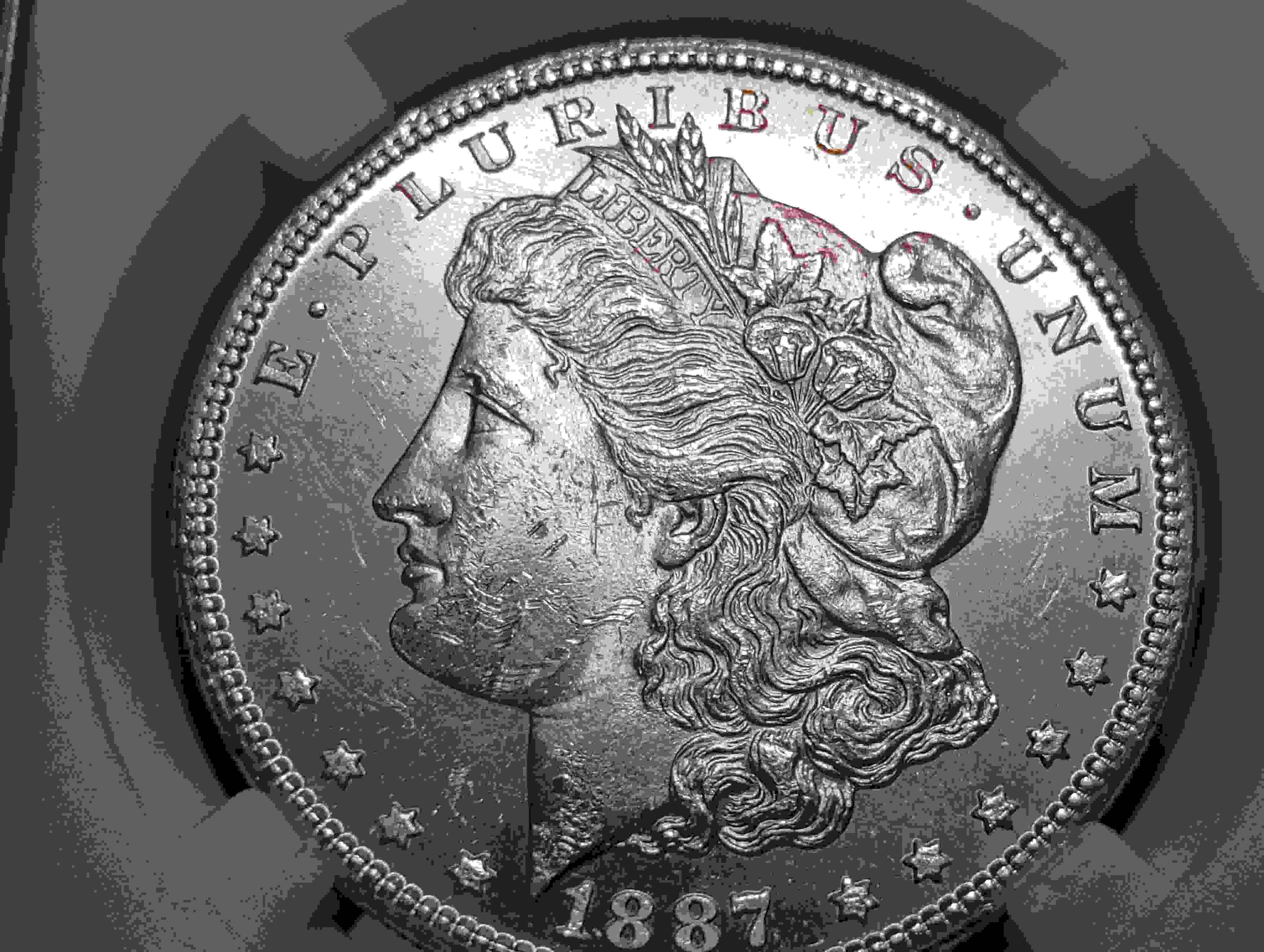 1887-S-Morgan-Bag-Marks