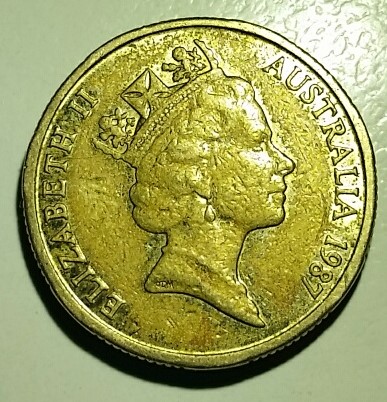 Noodling-Find-Of-The-Week?