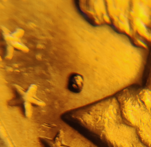 1979-S-Susan-B-Anthony-Dollar:-Strange?-S-Mint-Mark.