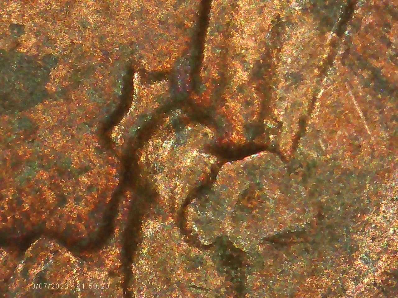 1988-D-Penny-Error-Die-Crack-On-Bowtie