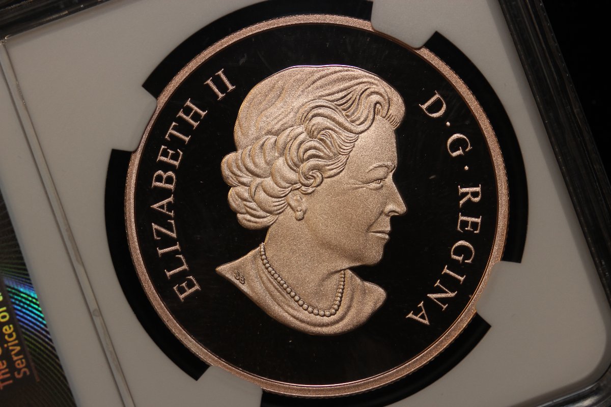 Group-Of-Seven---Golden-Coin?