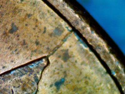 1989-Penny-With-Die-Crack-&-Doubling-In-America