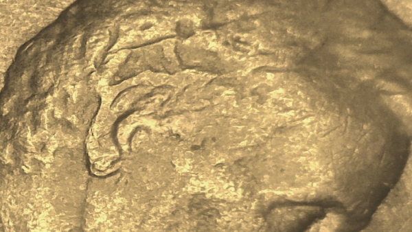 1988-Penny-Strong-Ear-Protruding?
