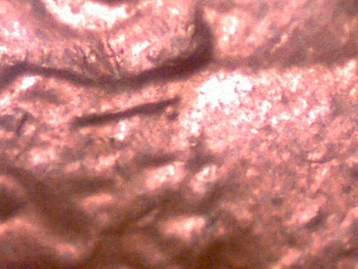 1984-P-Lincoln-Cent-Help-Identifying-Ear-Issue
