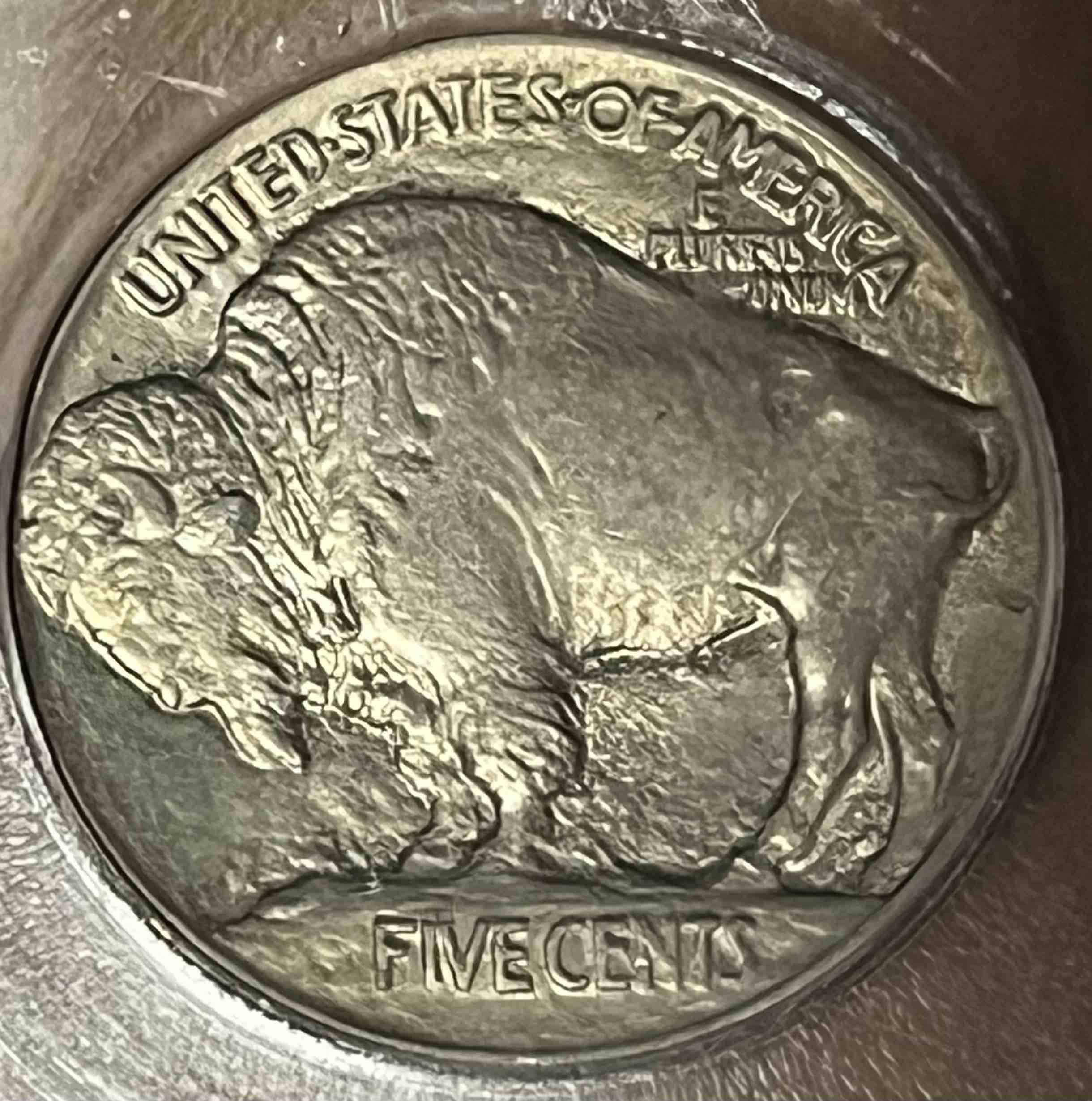 Well-Struck-Buffalos
