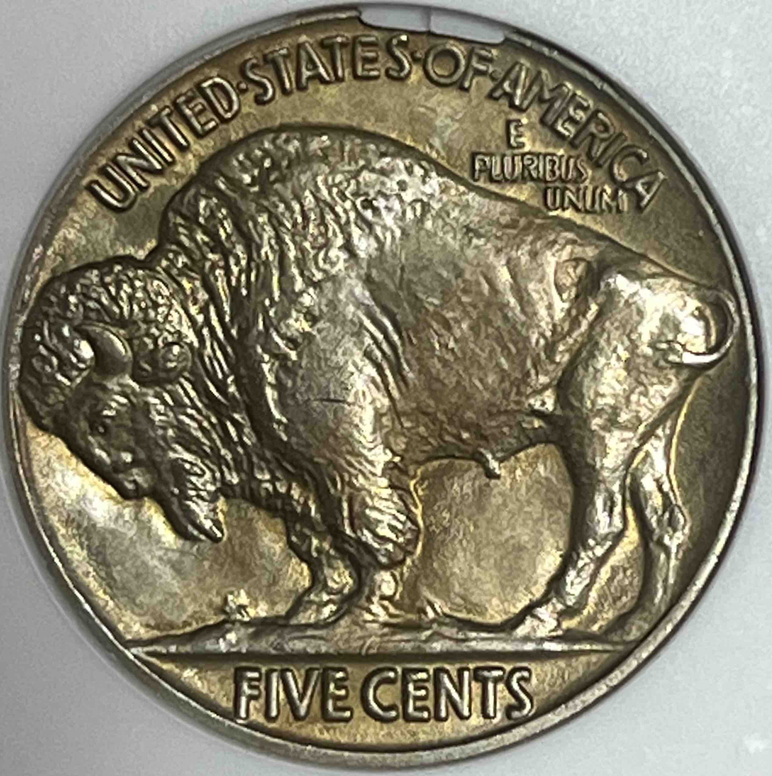 Well-Struck-Buffalos
