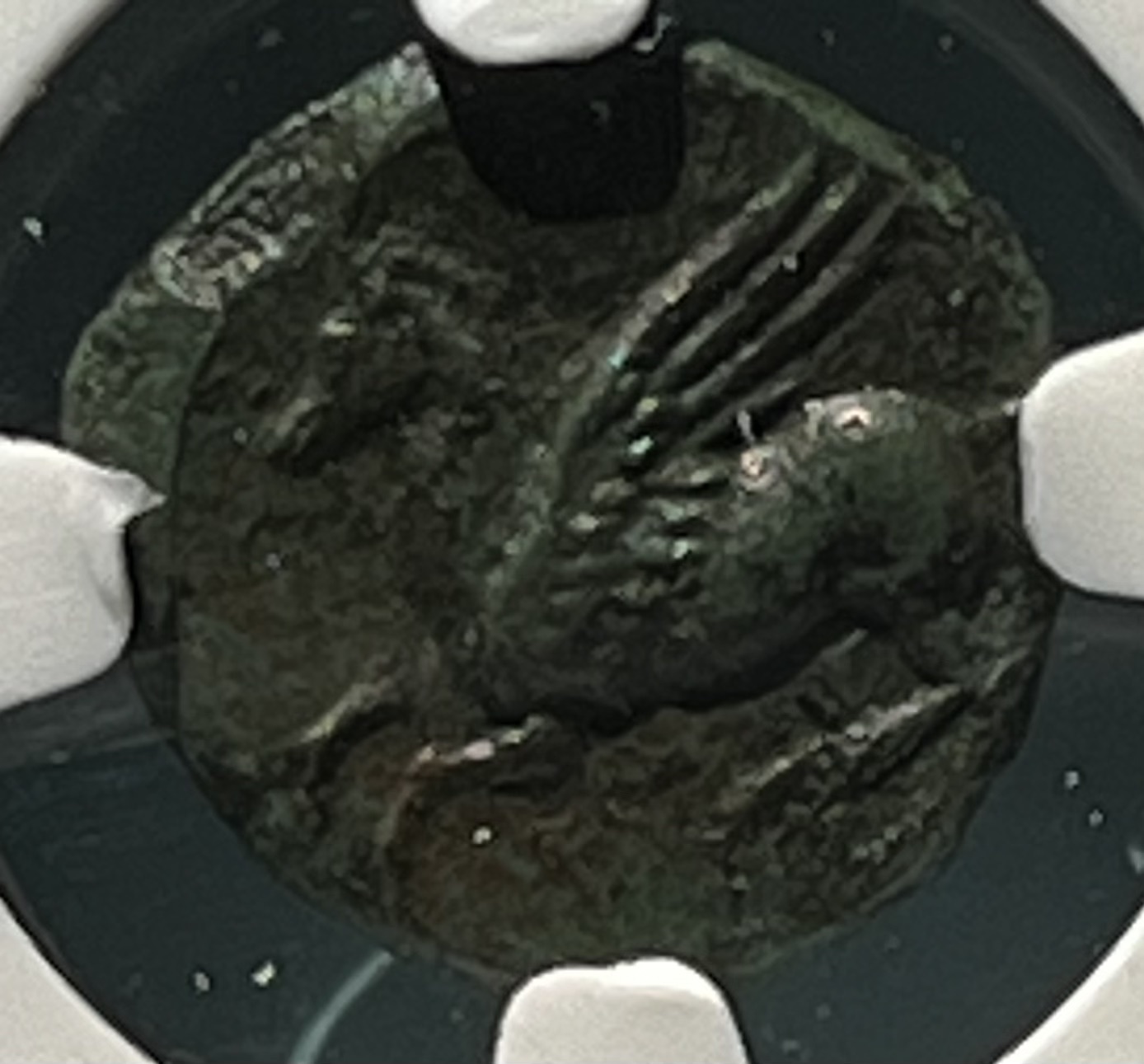 Looking-Back-On-Punic-Carthage