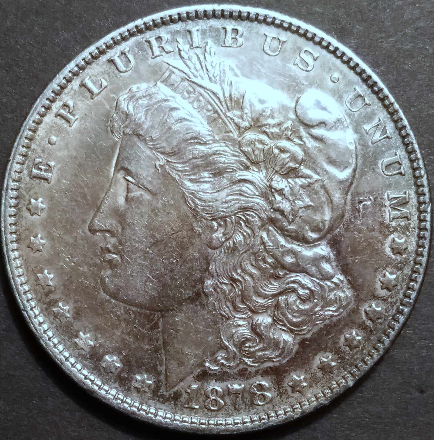 1878-7/8-Tail-Feather-For-Grade-Opinions-Please