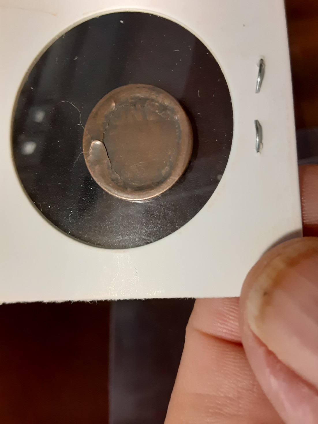 Skull-Lincoln---What-The-Heck?