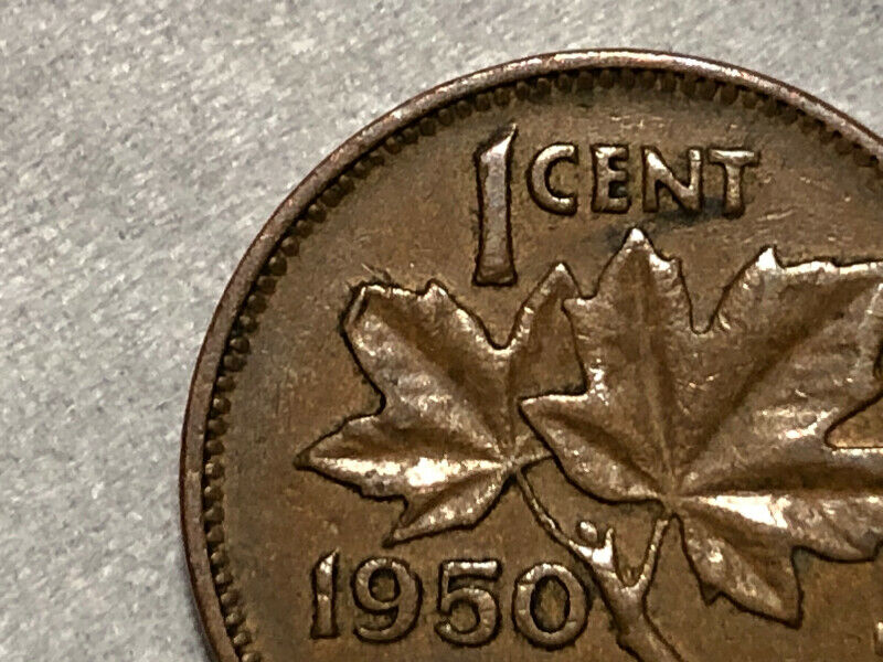 Who-Know-Something-About-This-Leaf-Issue-One-Cent-Coin-1950?