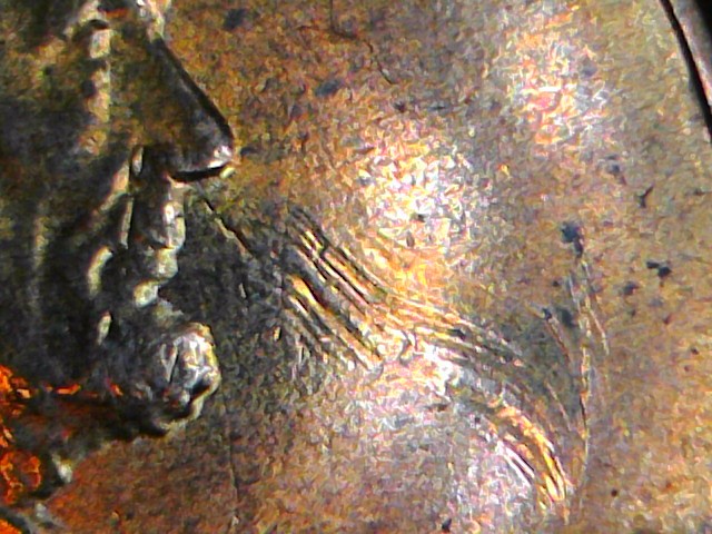 How-To-Tell-Between-A-Strike-Through-And-Post-Mint-Damage-2011-Cent