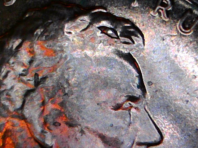 2019-DDO-Shield-Cent