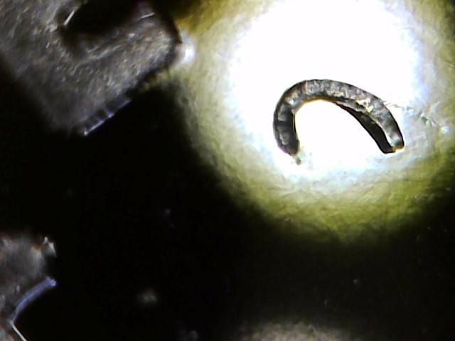 1992-Proof-Quarter-With-Partial-Dropped-Letter?